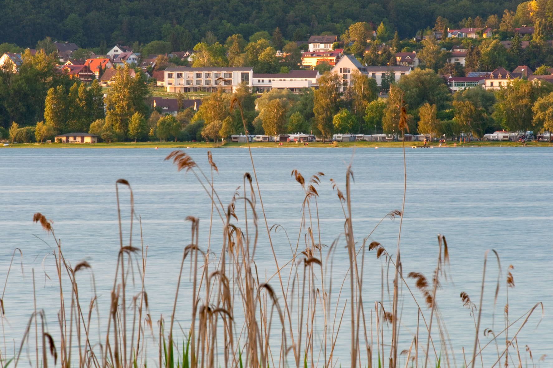 Blick von der Reichenau nach Hegne über den See