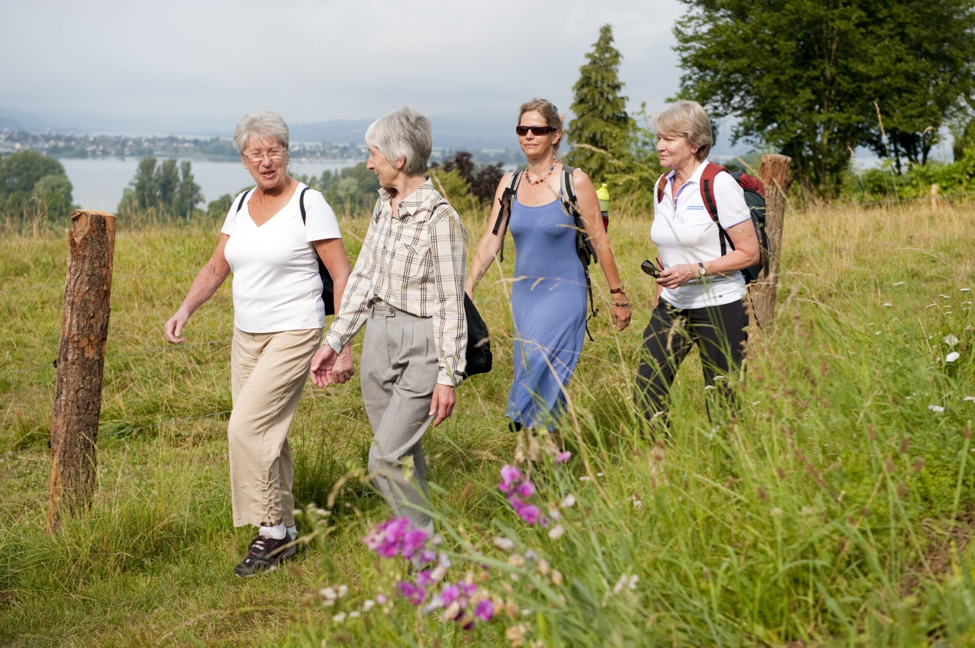 vier Frauen wandern an einer Weide