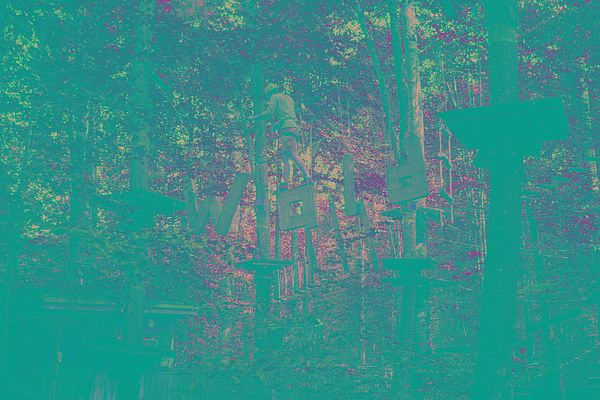Kletterwald in grün getaucht